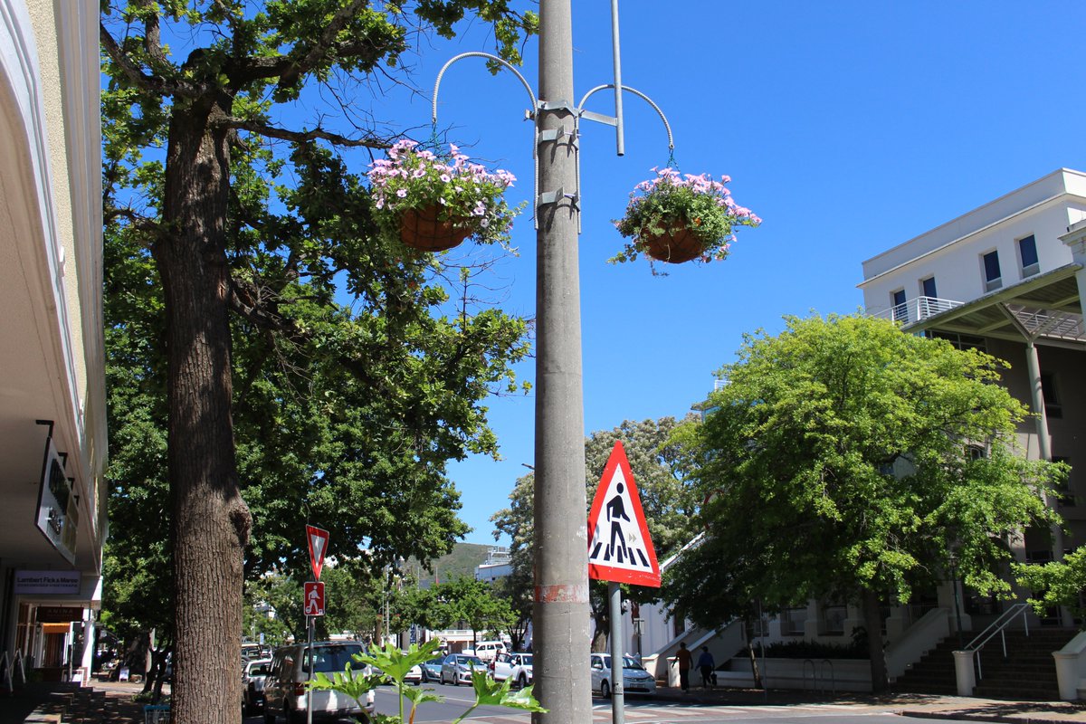 Stellenbosch Municipality tweet media