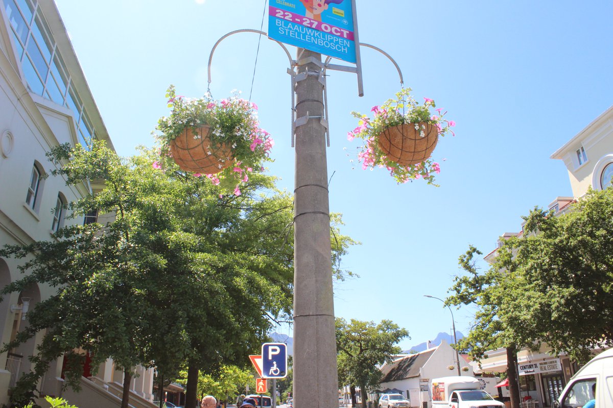 Stellenbosch Municipality tweet media