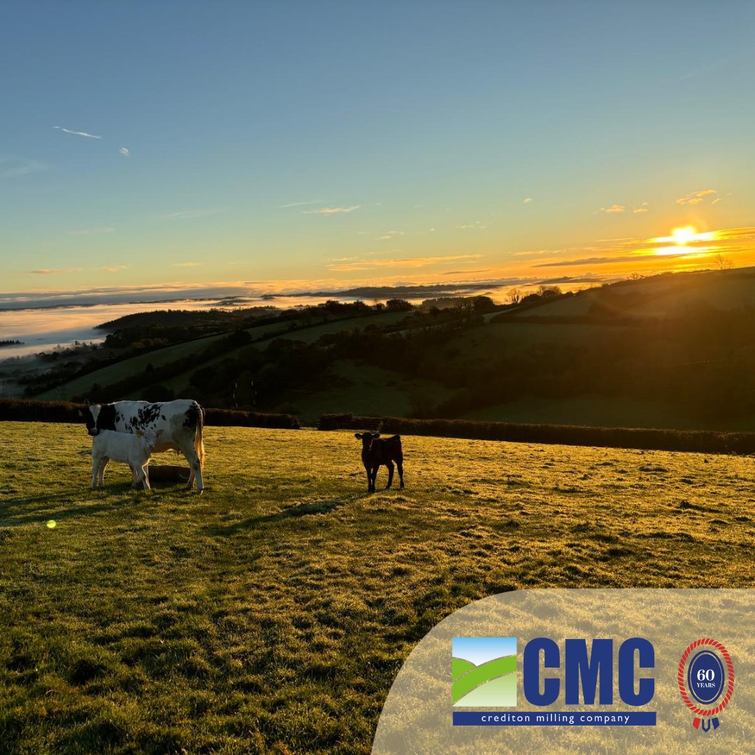 CreditonMilling's tweet photo. ๐ ๐ ๐ What a view!!
Show us a photo of the best view from your farm ๐ธ
#fedbycmc #animalfeed #devonsunrise #ruminantnutrition #greatbritishweather #farmlife https://t.co/Lv2nXDmywg