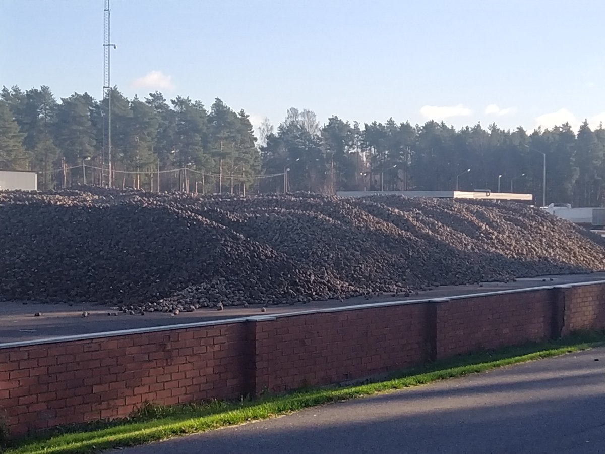 Jonas Laxåback tweet media