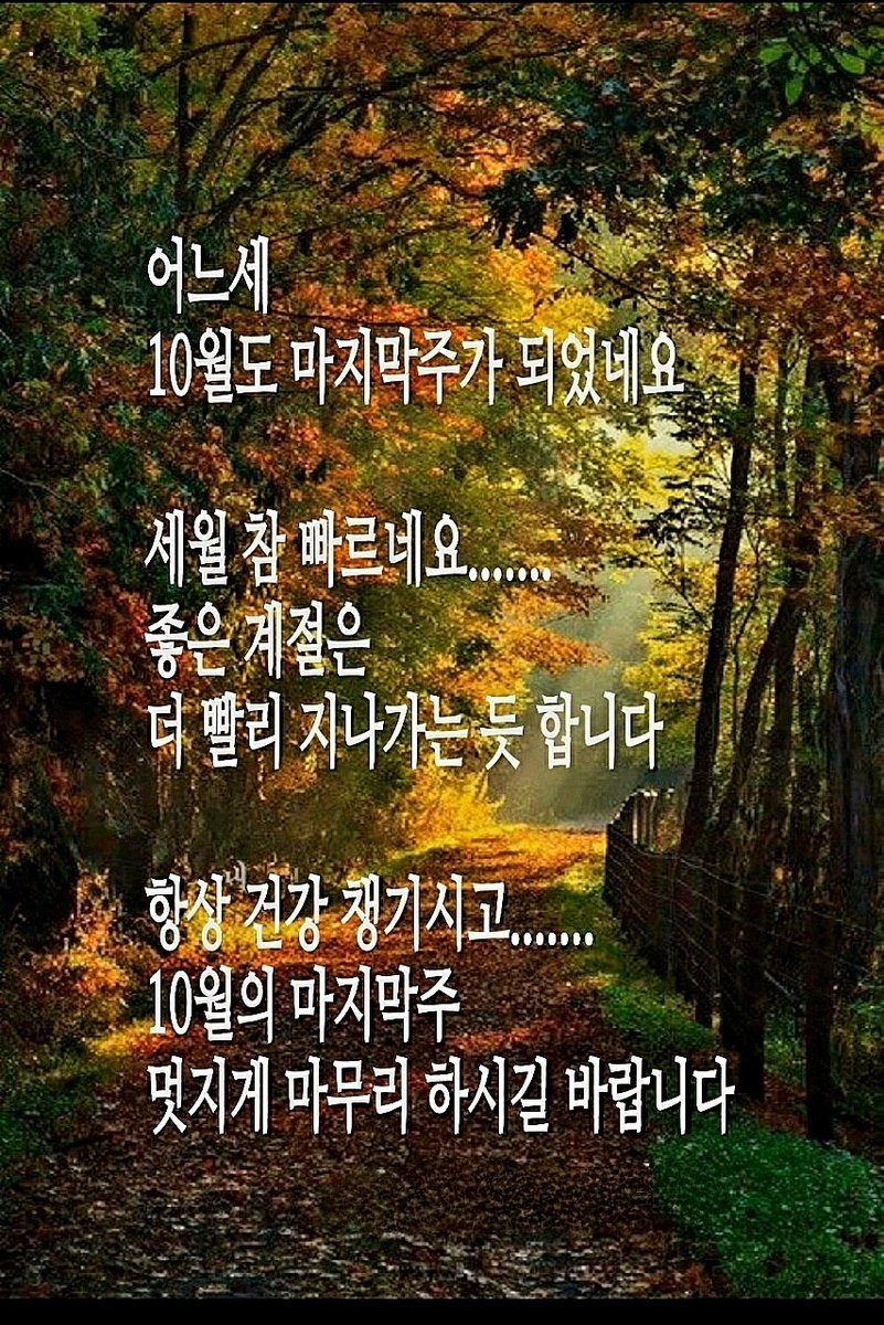 으르신 카톡 짤 모음👍 tweet media