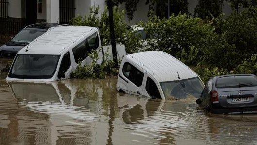 Si sabíem amb antelació que s’acostava aquest desastre, per què no s’han tancat les empreses i s’ha enviat a la gent a casa? Per què les primeres alarmes oficials han arribat al vespre?

Per què aquest patiment i aquesta angoixa? Perquè el que ells no volen pagar en beneficis ho