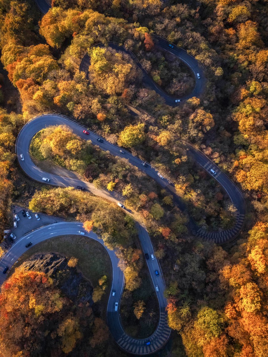 空から見た紅葉のいろは坂が綺麗
