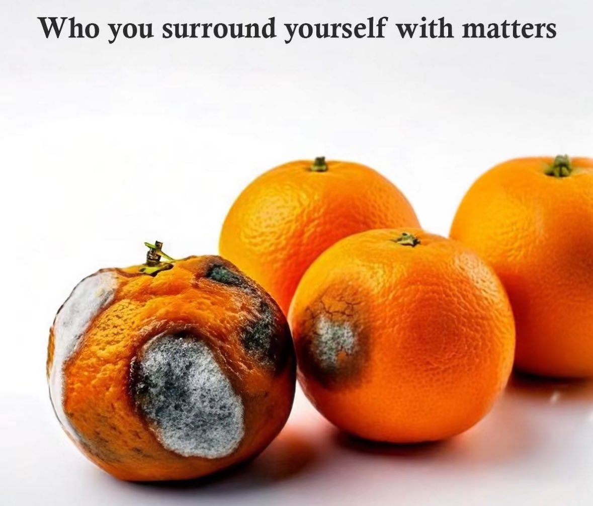 CBgambles's tweet photo. You are a reflection of the company you keep https://t.co/OUFvFS5mbo