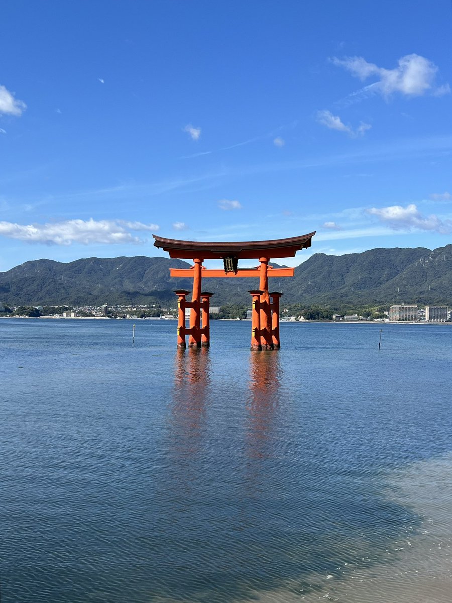 Dan Herman tweet media