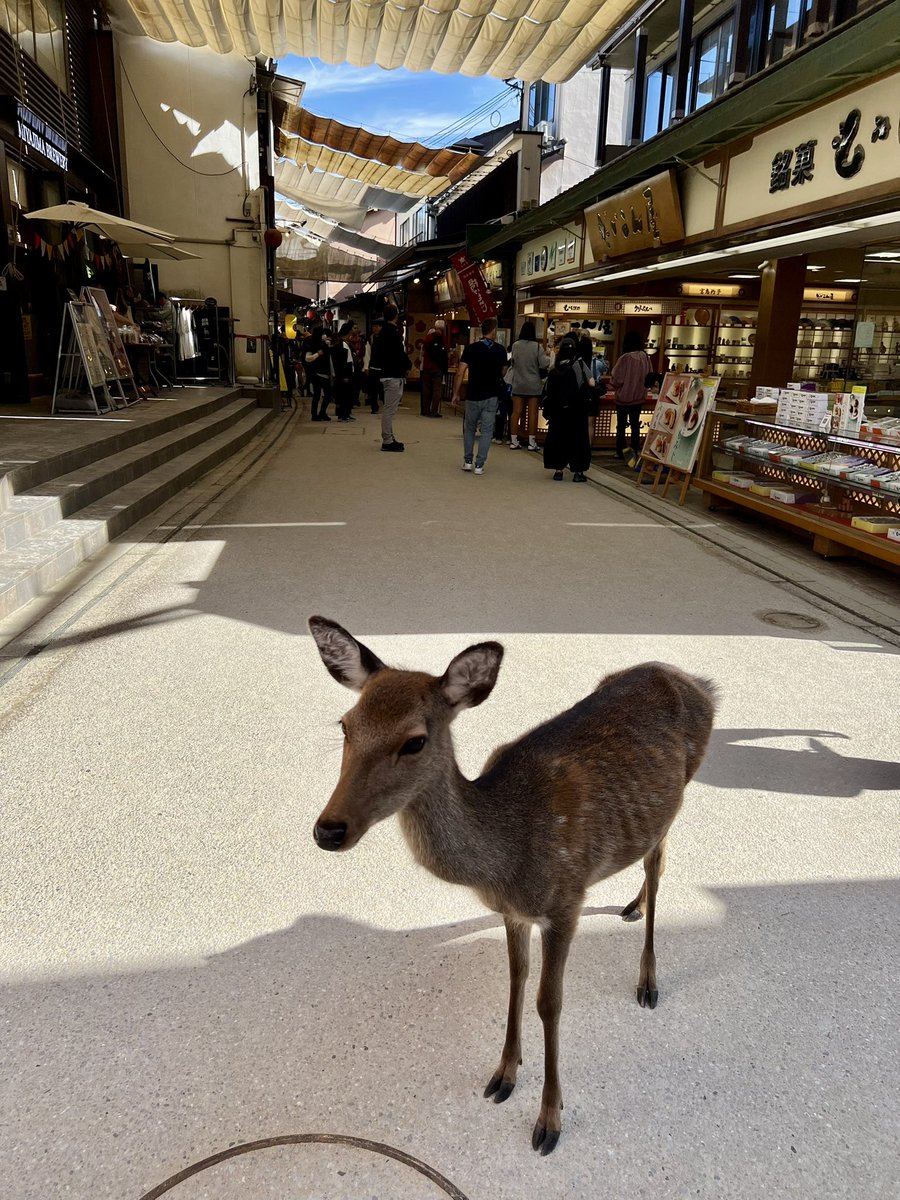 Dan Herman tweet media