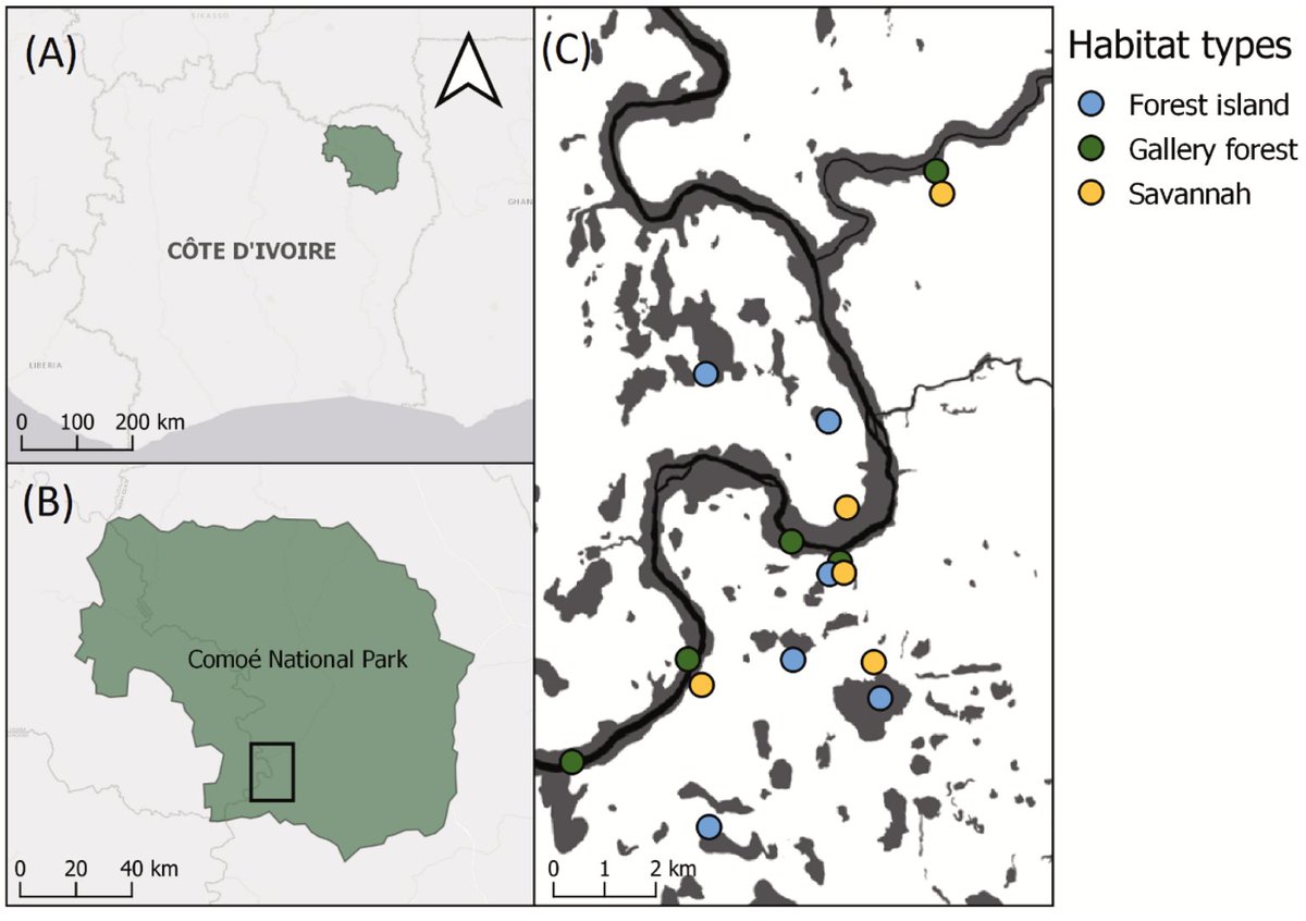Erik Frank tweet media