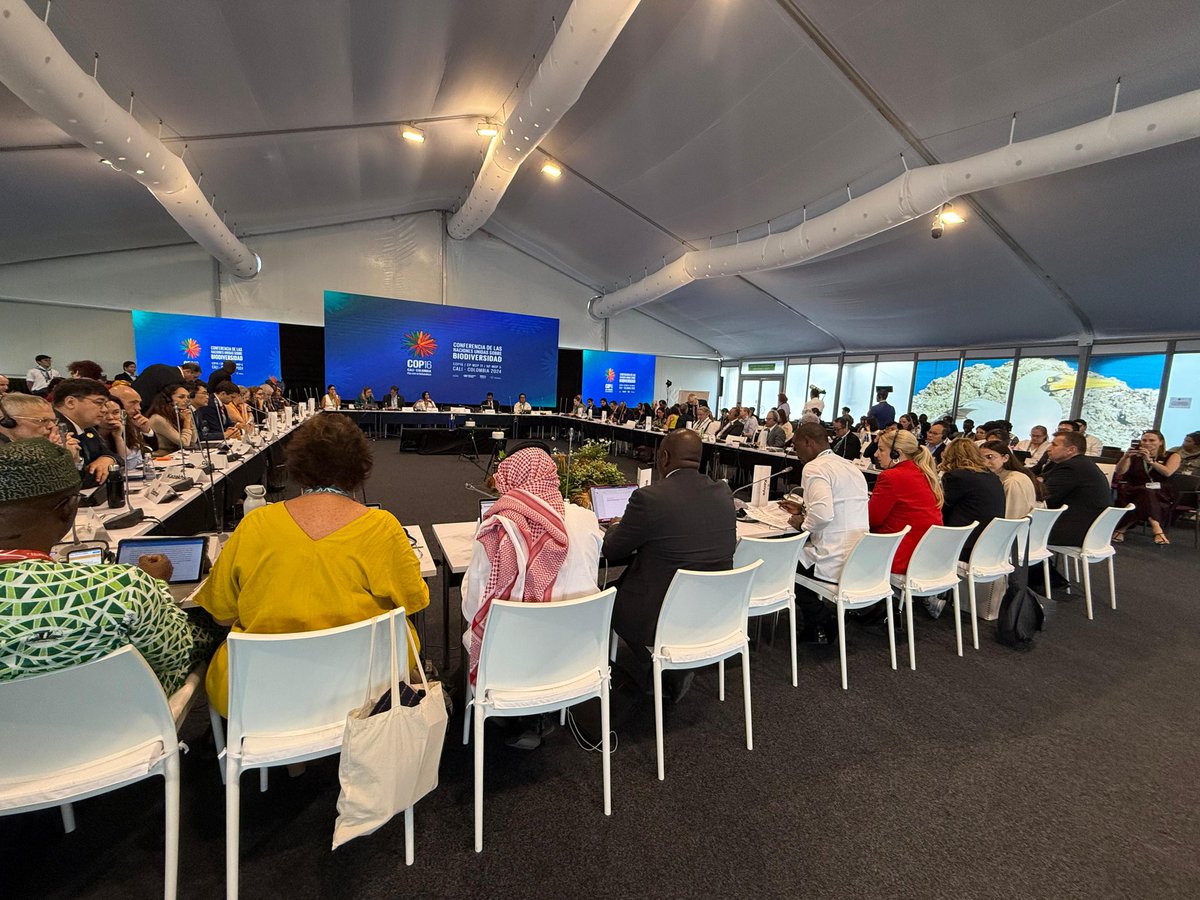 Kenya has undertaken several political and technical strategies to ensure a cross-sectoral and whole-of-society approach in updating its National Biodiversity Strategy and Action Plan (NBSAP), aligning with the KMGBF. 

We are undertaking a robust process of aligning the NBSAP