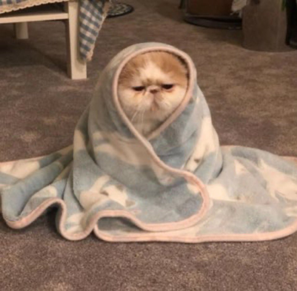 heute wieder 24 viel zu flache ecken sehen #sgd1953