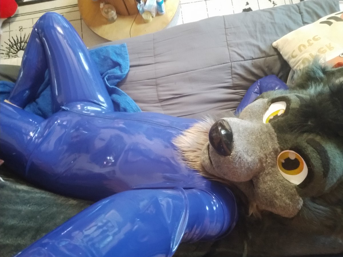 All blue and shiny to wake up to in the morning. What a pleasure &lt;3 

#Latexfur #rubberfur