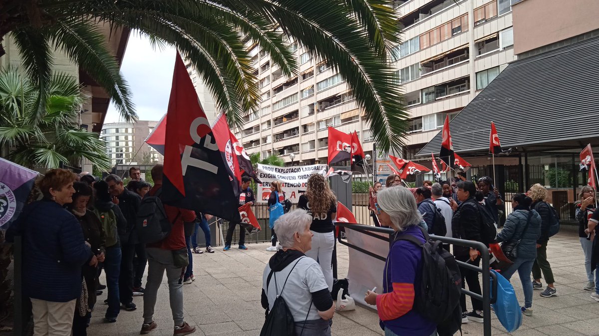 Tot el suport a la es companyes en lluita del SAD! Per un conveni i un treball dignes!