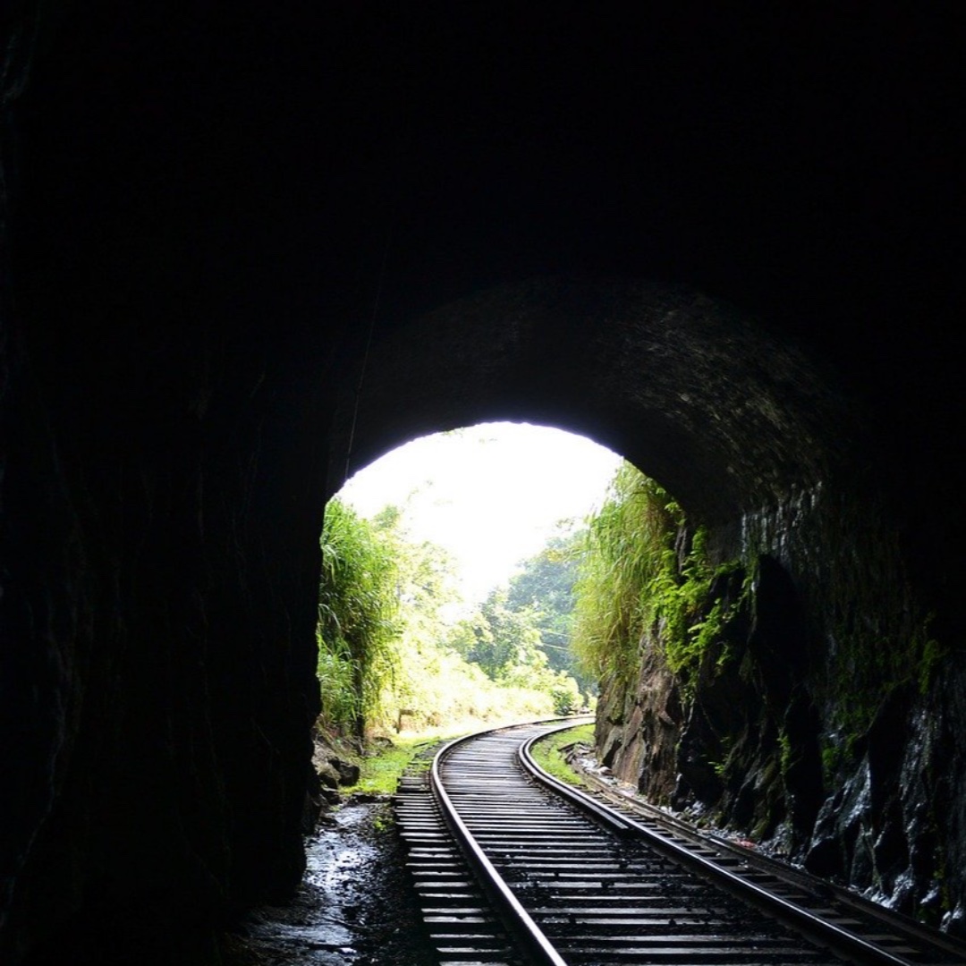 UK 🦇 bat populations have suffered huge declines over the past century. The #BatConservationTrust are working hard to help our bats hang on.  Bats are nocturnal and hunt insect prey. They sleep during the day.
Find your local bat group to help: bats.org.uk