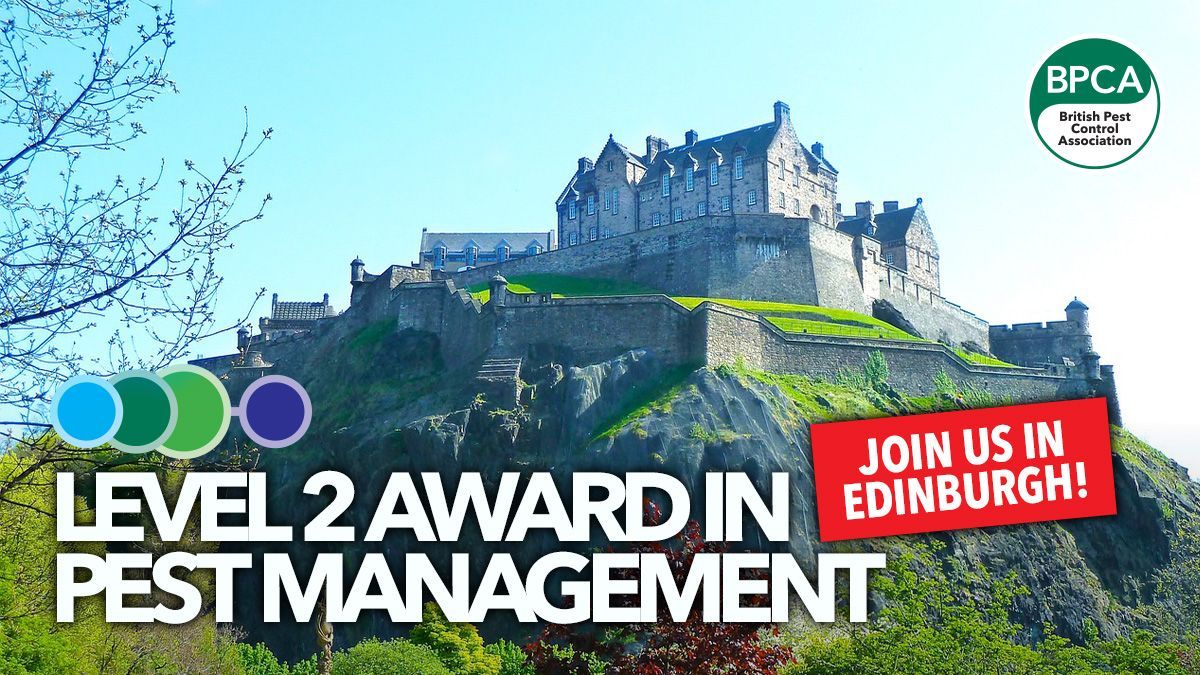 Hello #Scotland! 🏴󠁧󠁢󠁳󠁣󠁴󠁿 Want to become a #PestControl technician? Then this course is for you. 

More info: buff.ly/3UsoLag 

#PestControl #Training #Qualifications #Careers #Scotland