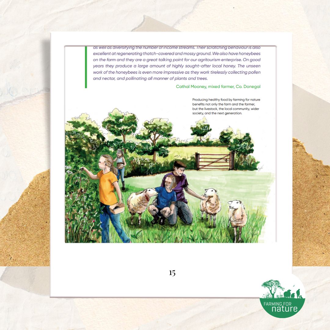 farmfornature's tweet photo. The Farming for Nature Handbook just got an update! We’re excited to reveal the new cover, and it’s looking fantastic. Whether you're a farmer, land manager, or nature enthusiast, this handbook is for you! 

🛒 Order Your Copy Here: https://t.co/DRrLguGpfB https://t.co/8f3t1kJdRA