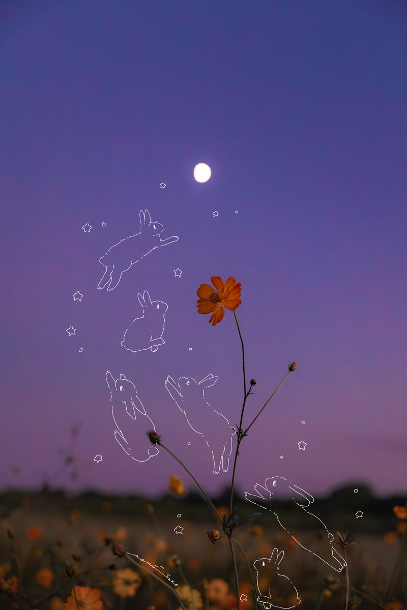 sara2626_if's tweet image. 僕らの家に帰ろう