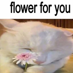 Neoxus30 tweet media