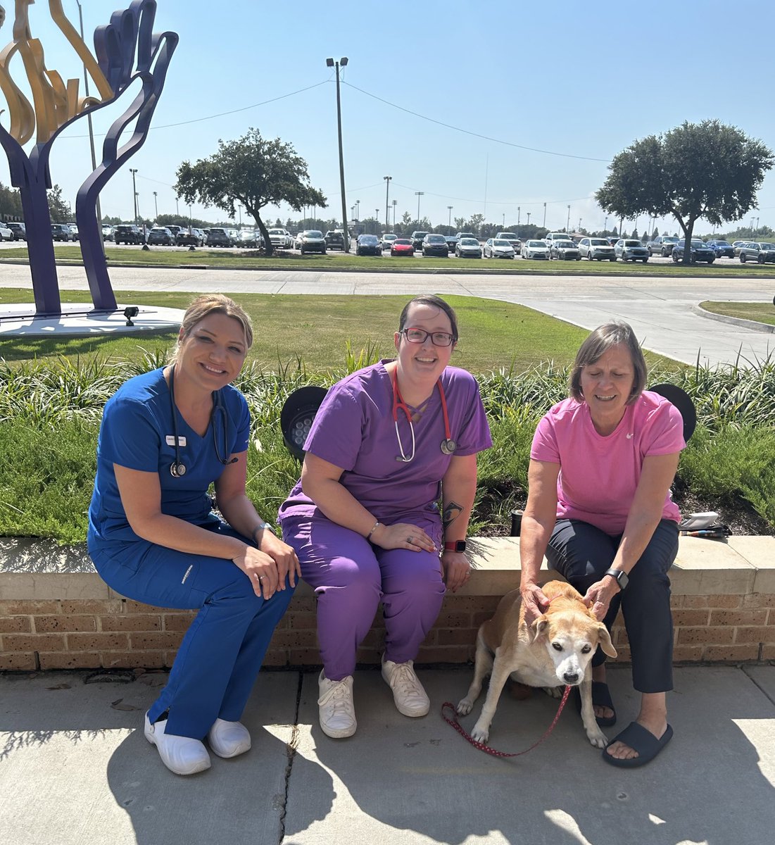 LSU Vet Med Dean (@lsuvetmeddean) on Twitter photo When Glimmer presented <a href="/LSUVetMed/">LSU Veterinary Med</a> with intractable incontinence, our Internal Medicine Service came to the rescue with cystoscopically-guided injection of collagen bulking agent. Huge congratulations to Drs. Jolly & Stein for their expertise & TLC! #LSU #WeHeal #BetteringLives When Glimmer presented <a href="/LSUVetMed/">LSU Veterinary Med</a> with intractable incontinence, our Internal Medicine Service came to the rescue with cystoscopically-guided injection of collagen bulking agent. Huge congratulations to Drs. Jolly & Stein for their expertise & TLC! #LSU #WeHeal #BetteringLives