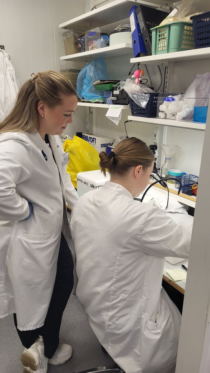 LaitilaJenni's tweet image. @FolkhalsanRC neuro and muscle teams working together on an epilepsy model 🔬🧠💪 #raredisease #sciencecollab #myoFIN