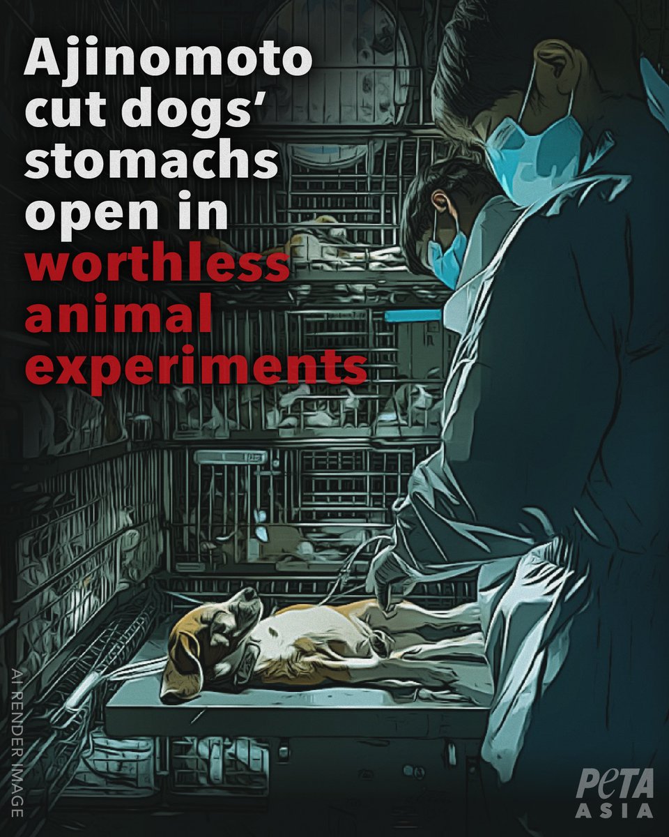 PETA Asia tweet media
