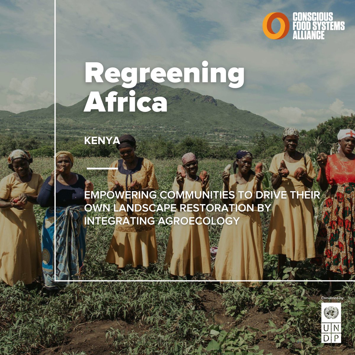 Lisa_ElenaFuchs's tweet photo. 🙌 Very excited to have our @CIFOR_ICRAF work on #ABCD and #agroecology conducted in the #RegreenAfrica sites in western #Kenya featured in #CoFSA's report on Conscious Local Communities and Cultures for Regeneration
✨Access all case studies here: https://t.co/xEmNGTThYL https://t.co/sBuMQErhHd