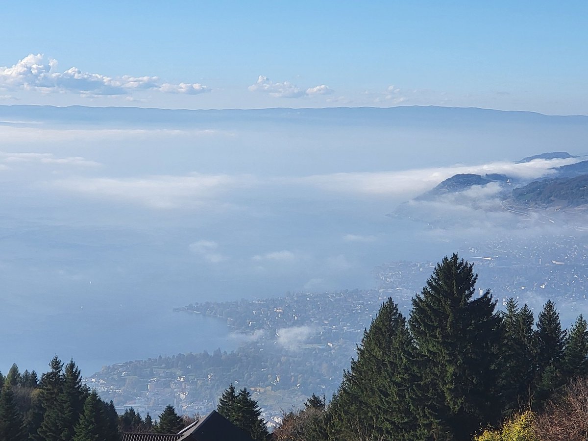 RuthOshikanlu's tweet photo. After working hard, I always play harder!
Geneva had lots to offer.
Heights and water ticked my box!
Took a train ride to Rochers de Naye and could still see Lac Leman (Lake Geneva) because we were blessed with the sun!😍😍😍 https://t.co/Psd9X1E4oz