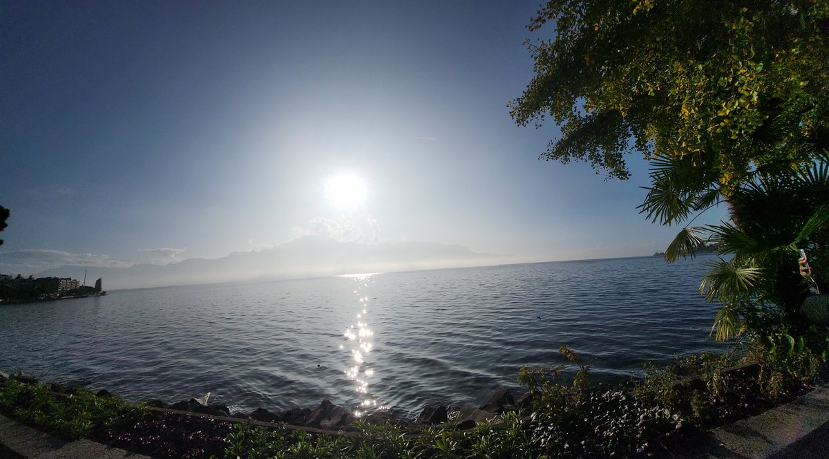 RuthOshikanlu's tweet photo. After working hard, I always play harder!
Geneva had lots to offer.
Heights and water ticked my box!
Took a train ride to Rochers de Naye and could still see Lac Leman (Lake Geneva) because we were blessed with the sun!😍😍😍 https://t.co/Psd9X1E4oz