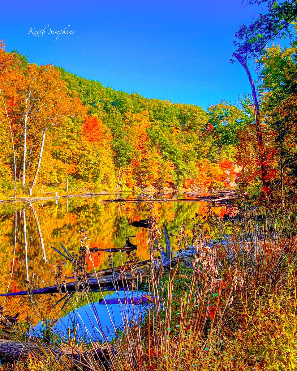 KeithSimpkins37's tweet photo. https://t.co/qq0GuiDU3h

Like and share, thank you!

Follow me @ https://t.co/mXSKY3Z8Sd 
#leaves #autumn #trees #travelphotography #outdoors #beautifuldestinations #picoftheday #photography #photooftheday #landscapephotography #digitalart #phototoartist https://t.co/b2nxJOnYpY