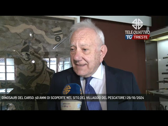 DUINO AURISINA | DINOSAURI DEL CARSO: 40 ANNI DI SCOPERTE NEL SITO DEL VILLAGGIO DEL PESCATORE
telequattro.medianordest.it/54534/duino-au…