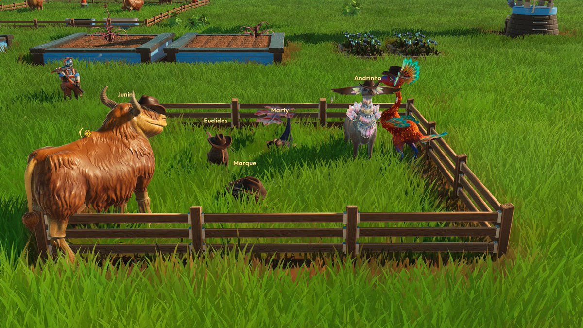 Spicinho tweet media