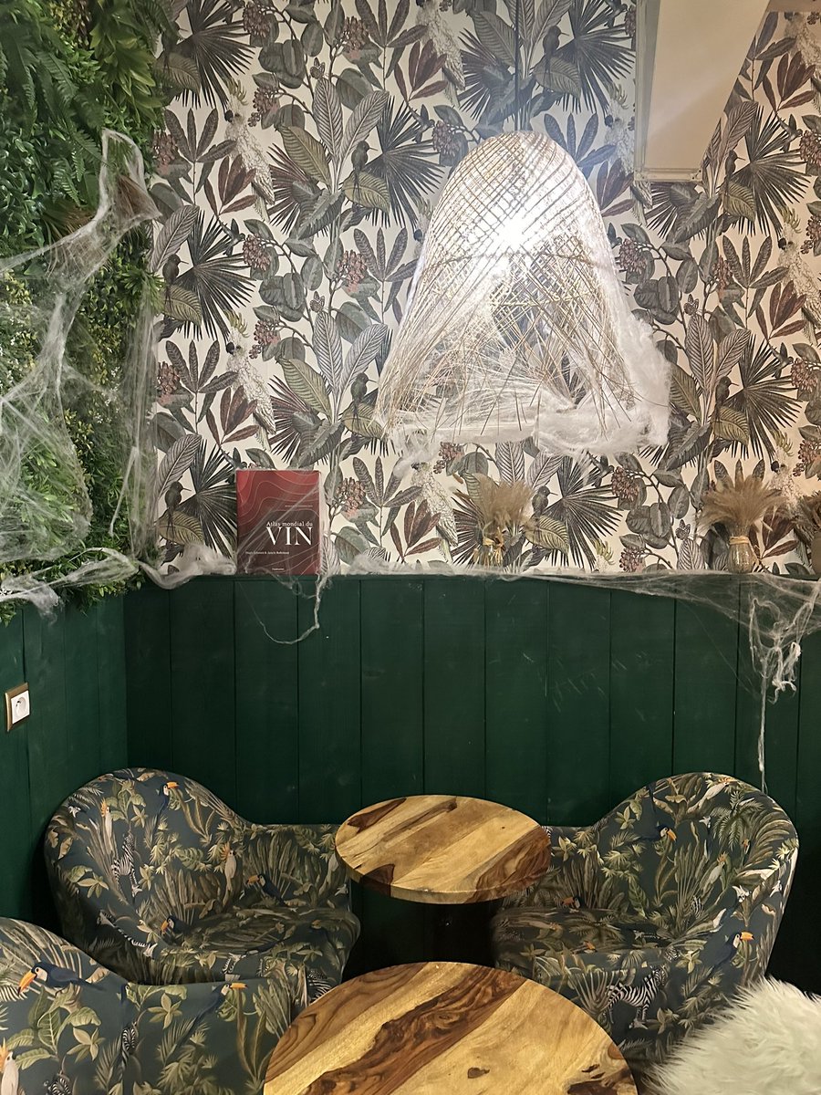 Même dans mes plus beaux endroits il y a cette déco moche partout. On dirait pas des toiles d’araignées on dirait… du coton étiré ! Team rageux.