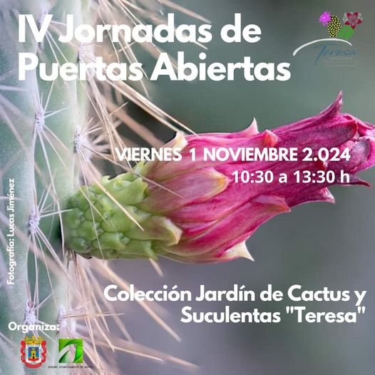 IV Jornadas de Puertas Abiertas
Conoce y Visita un espacio dedicado a la Xerojardinería donde podrás disfrutar de una gran y diversa variedad de Cactus y Suculentas.
1 de Noviembre de 10,30 a 13:30 horas. Jardín de Cactus y Suculentas "Teresa". Parque de los Pueblos de América.