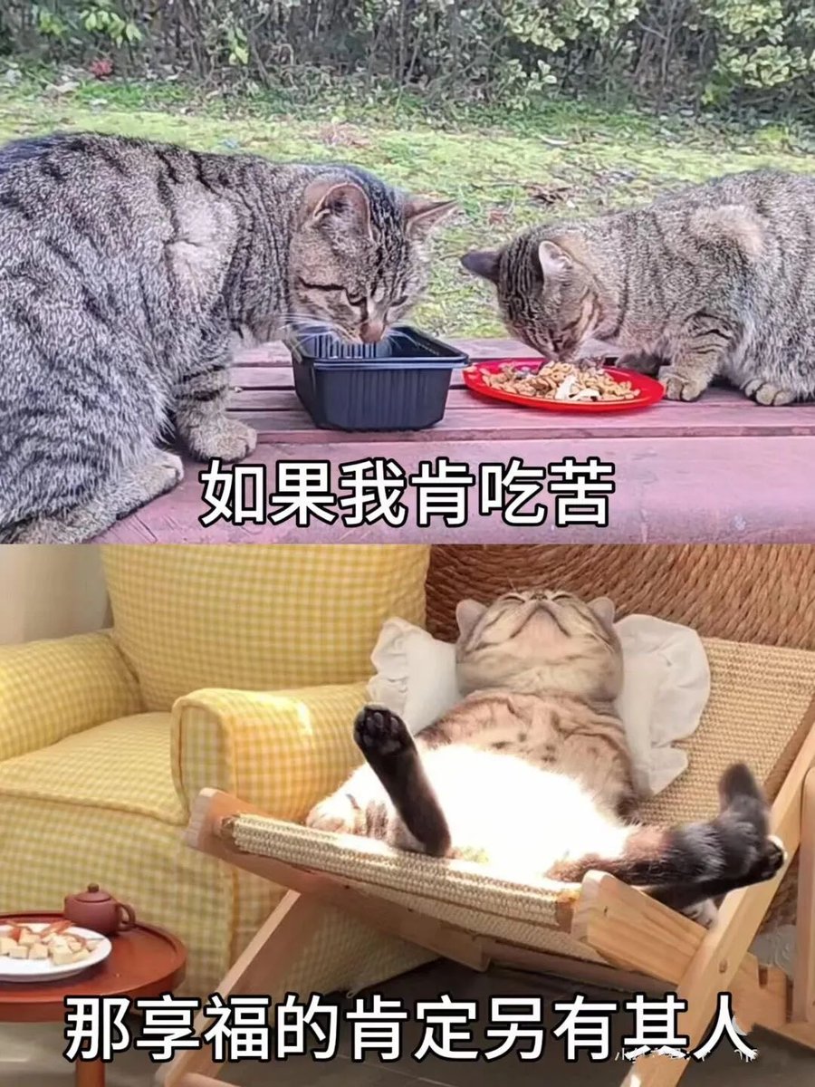WHyouqu's tweet photo. 我们上班吃苦 傻逼领导享福 好好好好 https://t.co/ImmD4vch7m