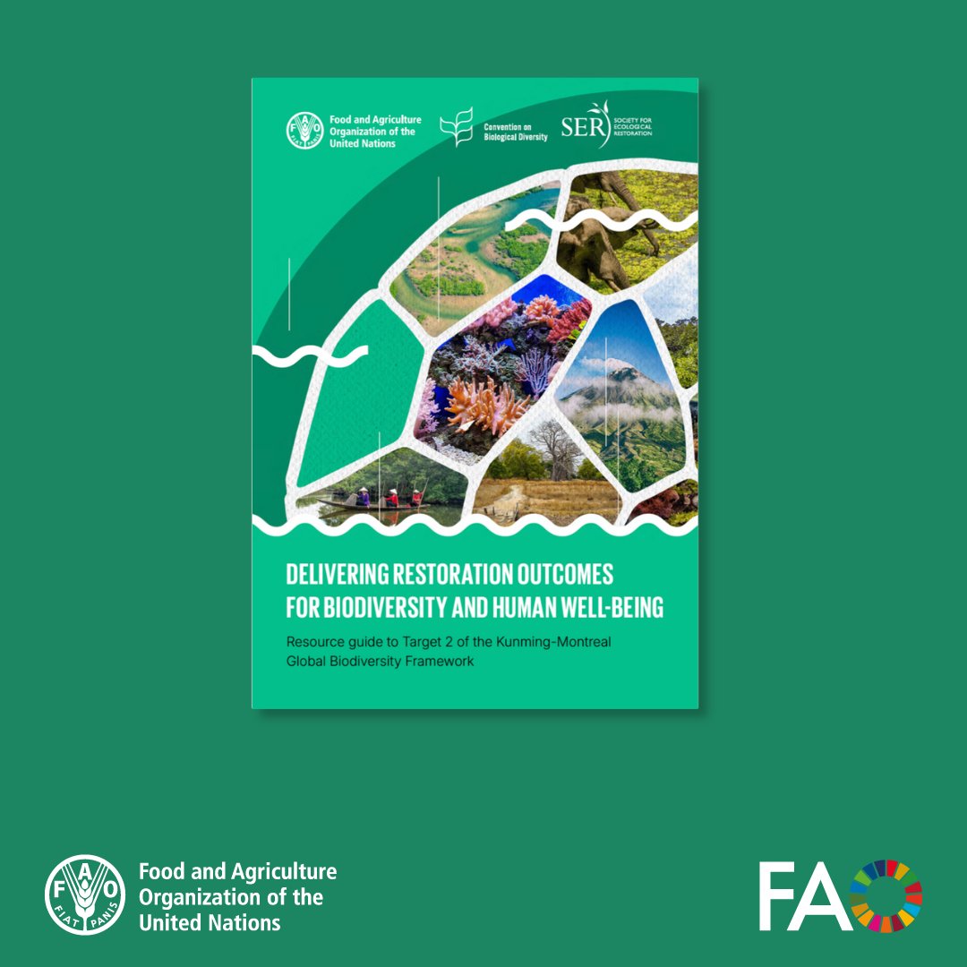FAOKnowledge's tweet photo. Integrating restoration into biodiversity plans is key to achieving balanced gains for people and nature.

This @FAO guide supports countries in implementing Target 2 of the Kunming-Montreal Global Biodiversity Framework.

Read more 🔗 https://t.co/n3ZojIeCyH

#COP16Colombia https://t.co/pjs5zOvMgR