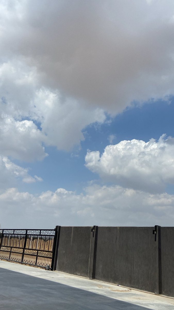 “Failure is the condiment that gives success its flavor.”🤍