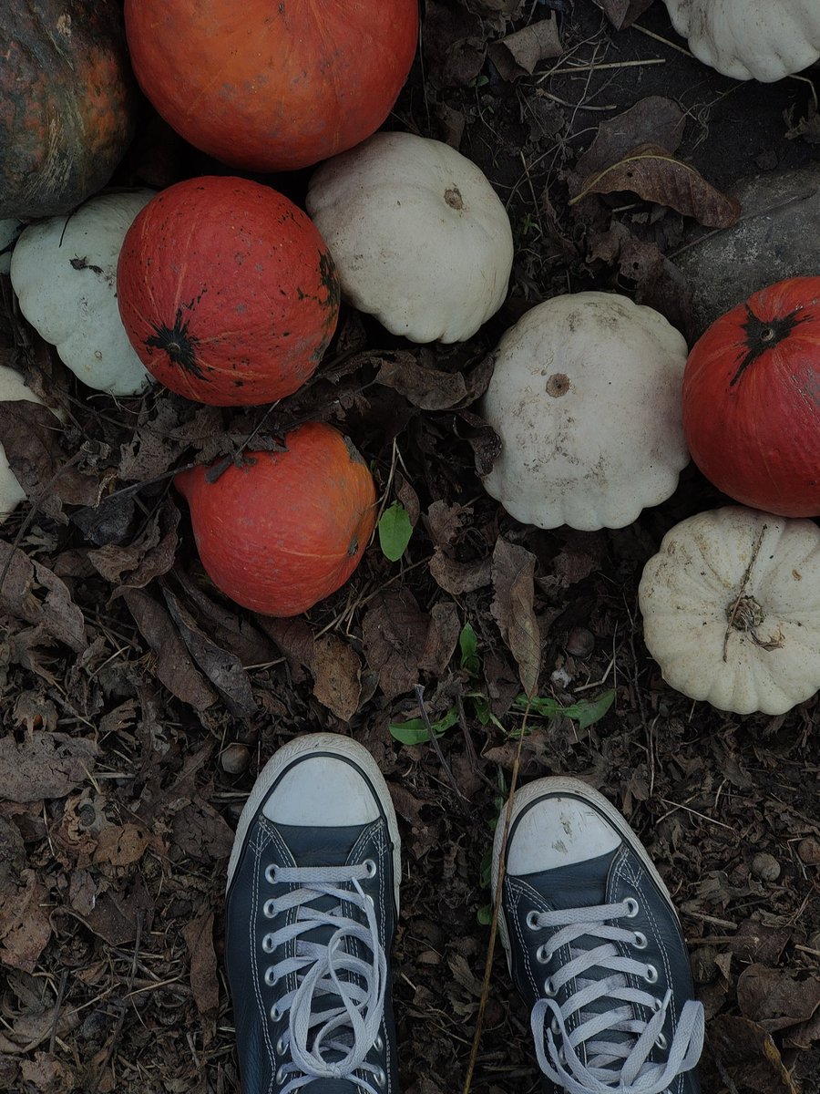 HeyyItsVix's tweet image. this is Pinterest worthy