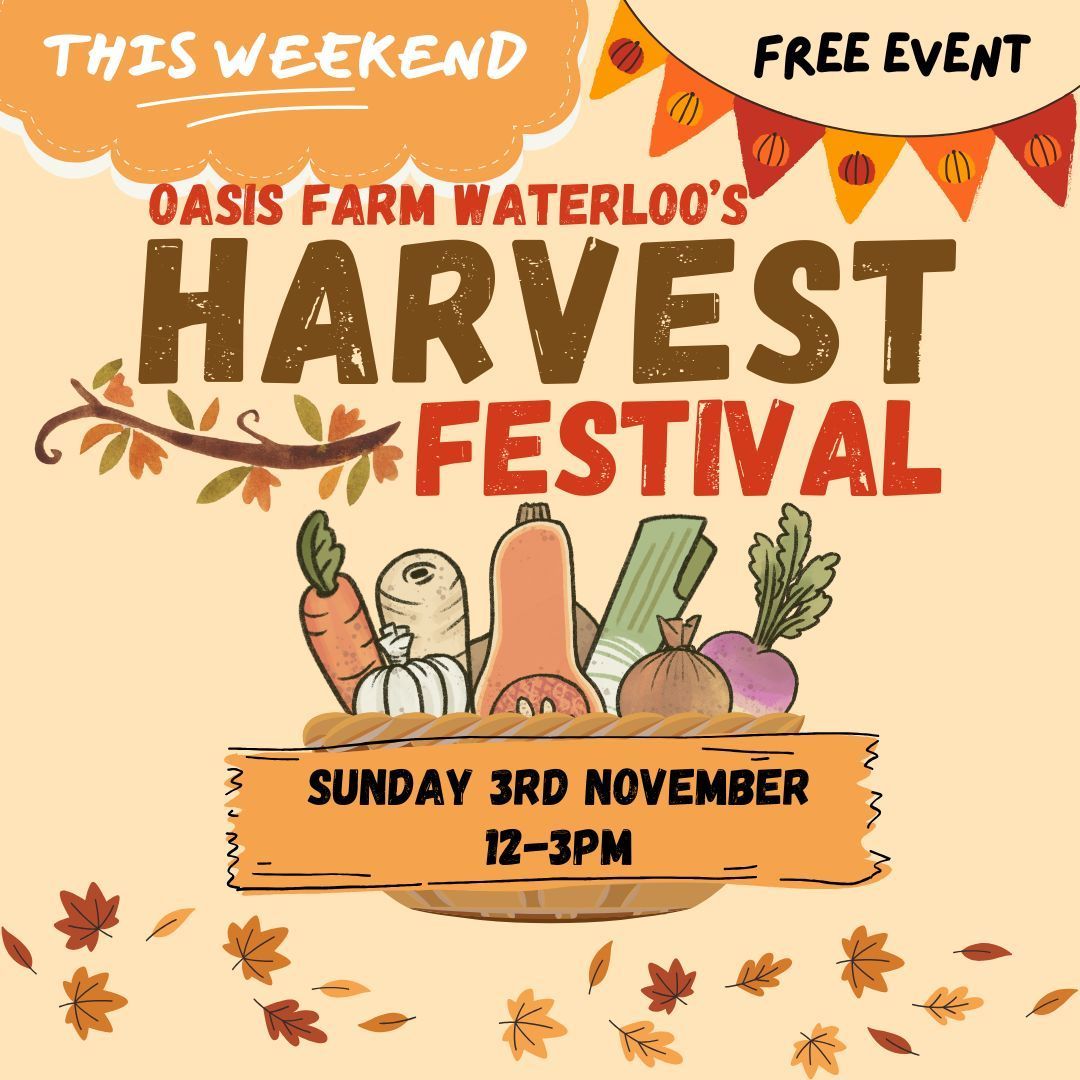 OasisFarmSE1's tweet photo. It's this Sunday! Join us from 12pm for pumpkin carving, hot soup, drinks, arts &amp; crafts &amp; marshmallow toasting!

#oasisfarmwaterloo #jamiesfarm #cultivatingchange #urbanfarm #cityfarm #londonfarm #whatsonlondon #freeeventslondon #harvestlondon https://t.co/OdWzHkaVQS