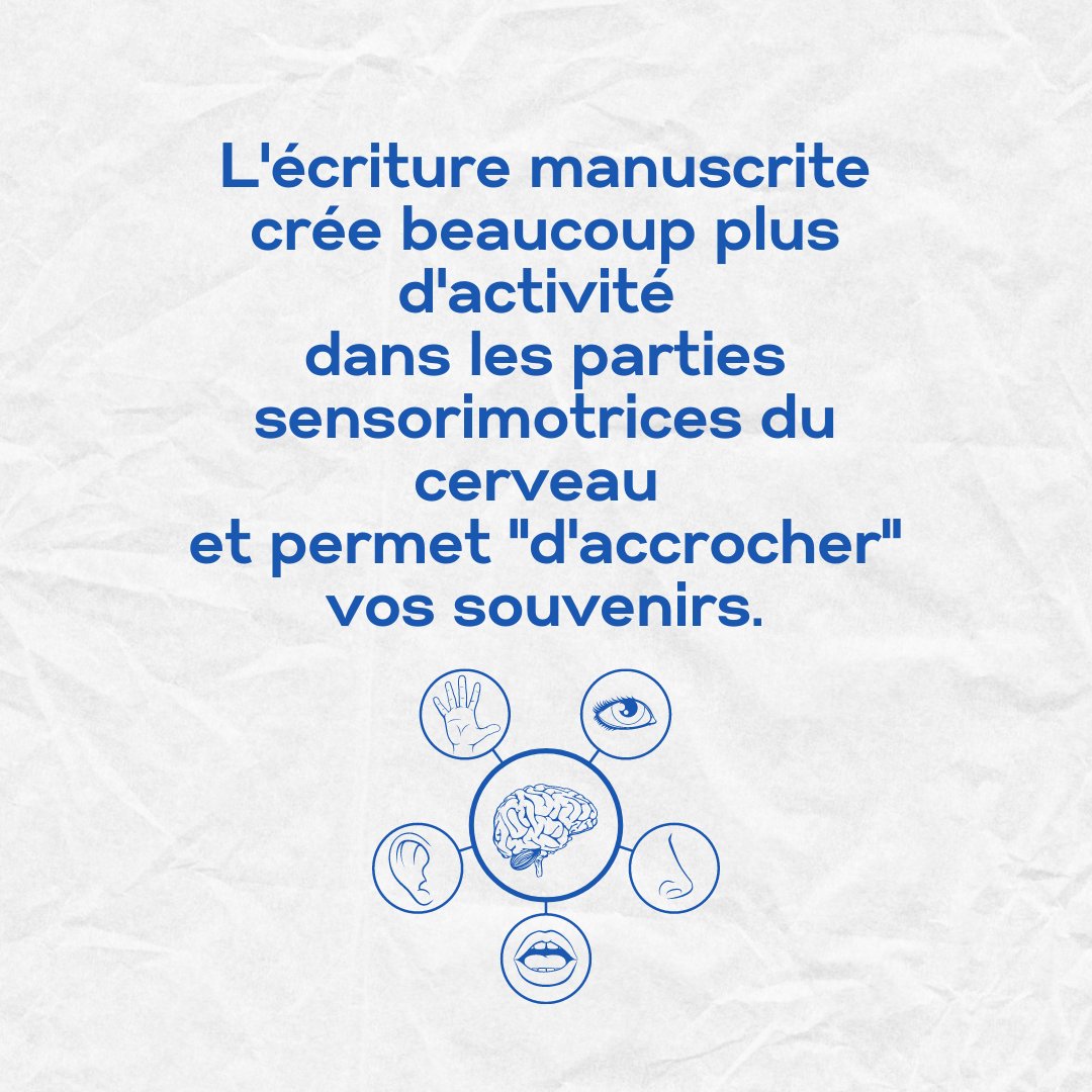Selon des travaux précédents, cette activité est corrélée à une amélioration de la capacité à encoder de nouvelles informations.