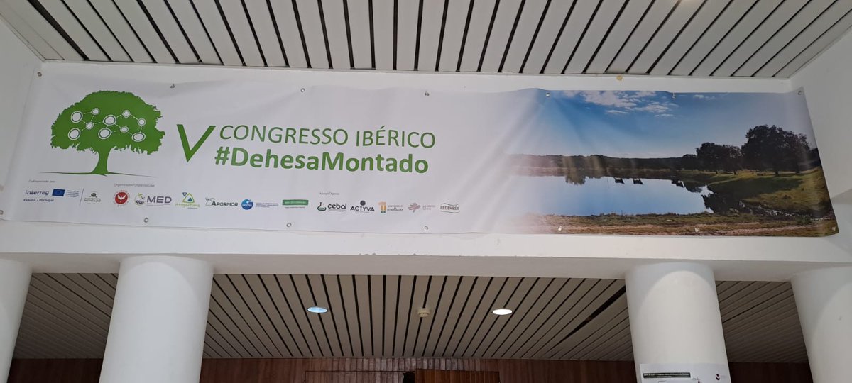 Continuamos con el segundo día del V Congreso Ibérico #DehesaMontado🤗
