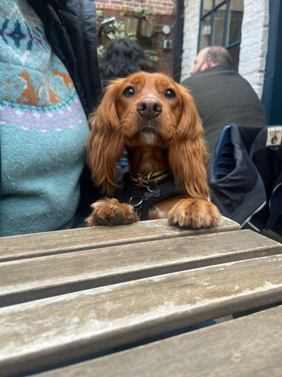 Liz Davison (@lizdavison2) on Twitter photo Such a lovely break on the North Yorks and Cleveland Coast. Gertie's happy place! #skinningrove #whitby <a href="/SandersYard/">Sanders Yard Bistro</a> Such a lovely break on the North Yorks and Cleveland Coast. Gertie's happy place! #skinningrove #whitby <a href="/SandersYard/">Sanders Yard Bistro</a>