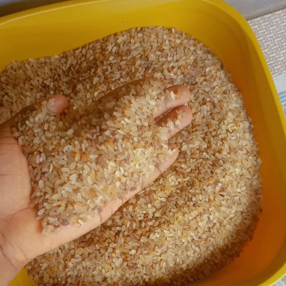 TheOakenBrand's tweet photo. You need a reason to patronize me?Watch the video below👇🏼
Original,no smell,clean,high swelling,stone free ofada rice🌾
1kg N5300
2kg N8500
Yellow custard bucket N15500
Lagos,Nigeria
Delivery is nation and worldwide
#Iyaloja
#TagOVC
#Ovendorscorner @SirDavidBent @abazwhyllzz https://t.co/ROselUcgYD