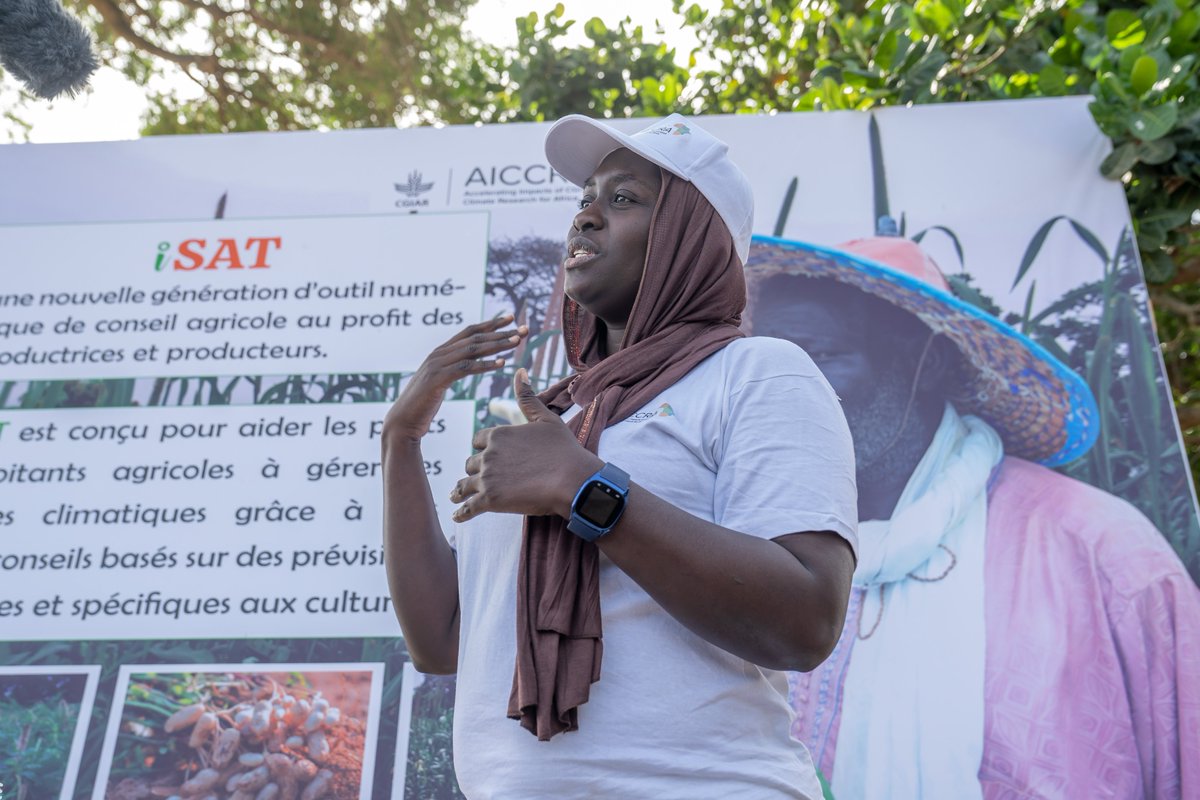 CGIARAfrica's tweet photo. 👏Congratulations👏 to @ndeyeamy, founder of @JokalanteSN and partner of AICCRA #Senegal, for winning two prestigious awards 🏆 at the Marché des Innovations et Technologies Agricoles (#MITA), organized by @CORAFNews in #Togo!   

➡️ Through its efforts to disseminate climate forecasts and agricultural and pastoral advice in local languages, Jokalante directly reaches rural communities.   

➡️ With the support of @meteosenegal, Jokalante's campaign has enabled more than 𝟒𝟎𝟐𝟎 𝐟𝐚𝐫𝐦𝐞𝐫𝐬 𝐚𝐧𝐝 𝟏𝟒𝟎𝟎 𝐡𝐞𝐫𝐝𝐞𝐫𝐬 to receive practical advice that has enabled them to make informed decisions to strengthen their resilience in responding to climate change.

➡️ These awards from CORAF and @ecowas_agric  underline Jokalante's impact in transforming agriculture in West Africa, bringing innovations to improve food security and livelihoods.  

👉 Find out more about our work with Jokalante on climate adaptation for farmers and agro-pastoralists in Senegal 👉 : https://t.co/EjKSH3DLY5