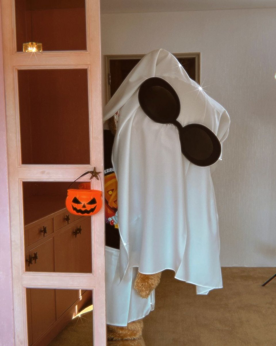 khaopode93's tweet photo. จะน่ากลัวกี่โมงคะเนี่ย เจอแต่ความน่ารักเจ้าคำสาปผ้าปูโต๊ะ Boo! 🧸🧡🧻👻🎃❤️‍🩹

#Butterbear #ผีเนยน้อย 
#halloween https://t.co/kvdJeVLcWU