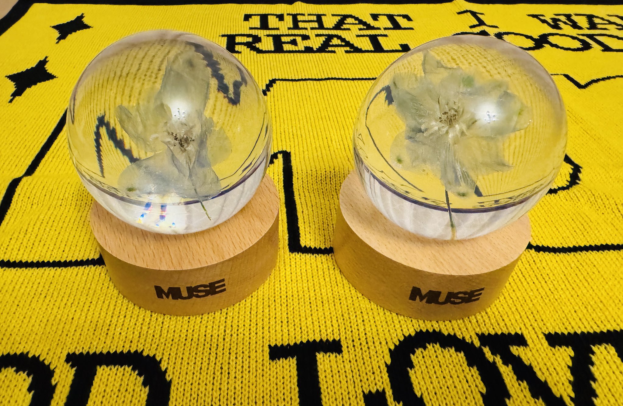 JIMIN MUSE ペーパーウェイト BTS JIMIN「MUSE」の公式グッズの