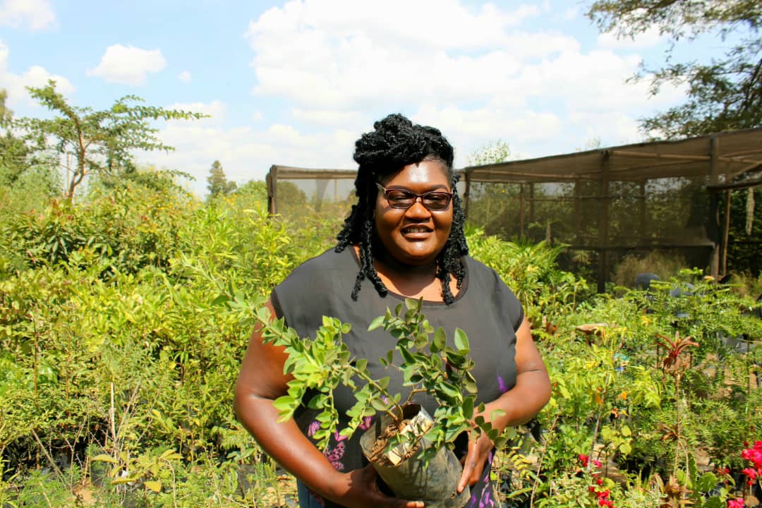 Greening Kuwadzana Project (@kuwadzanapress) on Twitter photo One of the pioneers and the most consistent drivers of the Greening Kuwadzana Project, Tendai Moyo of <a href="/letsgreenthefu1/">LET'S GREEN THE FUTURE TRUST</a> 💚 One of the pioneers and the most consistent drivers of the Greening Kuwadzana Project, Tendai Moyo of <a href="/letsgreenthefu1/">LET'S GREEN THE FUTURE TRUST</a> 💚