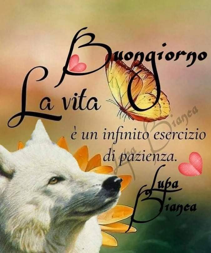 Marianna tweet media