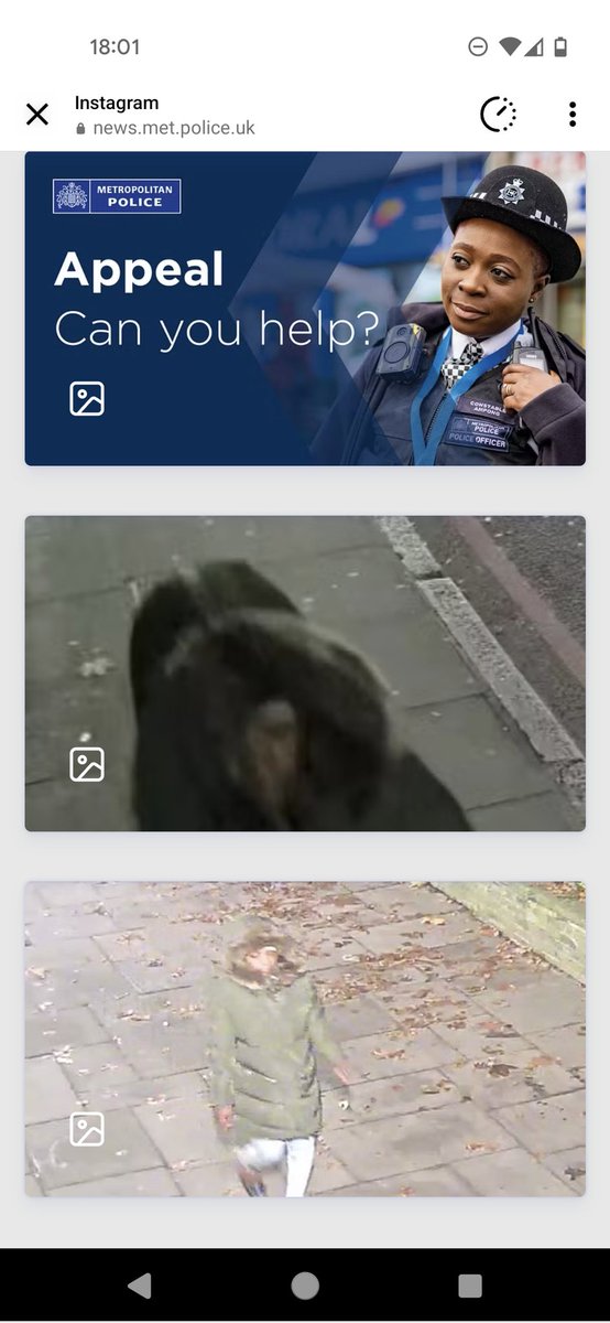 Where To Now? tweet media