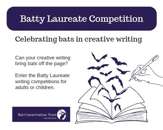 _BCT_'s tweet photo. As part of our #BatFest celebrations we are running a creative writing competition!
The competition is divided in two categories: one for our younger bat enthusiasts (6-12 years of age) and one for teens/adults (over 12 years old) https://t.co/40Z2Z8WQh9 https://t.co/hPP6ly0kTu
