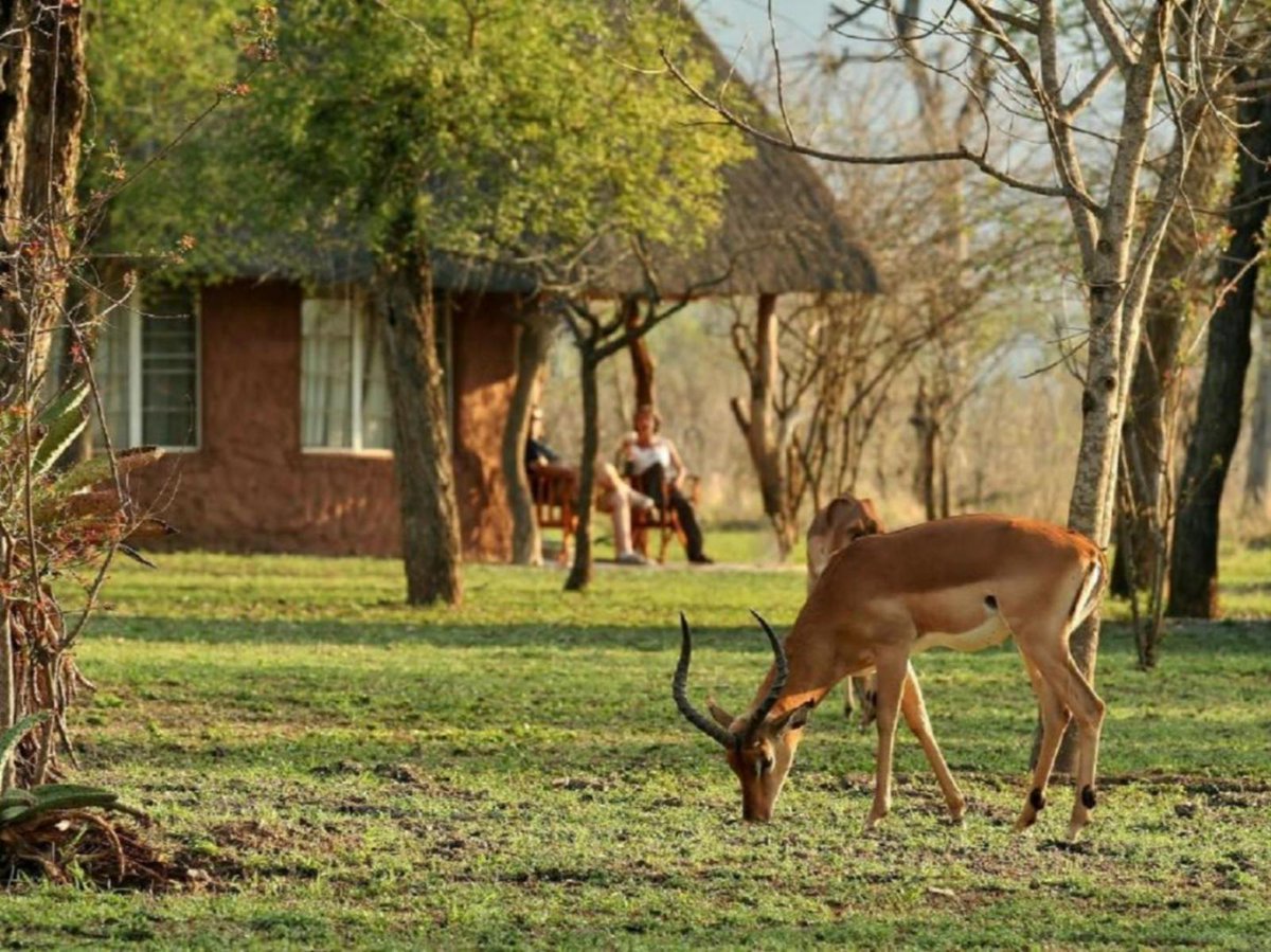 BuhleBakaNgwane's tweet photo. Hlane 🦒🦧
The Beauty of Swaziland: FB
#endle #nature #scenic #eswatini https://t.co/xZ0Oa2Zi74 https://t.co/dsamDoSZMI