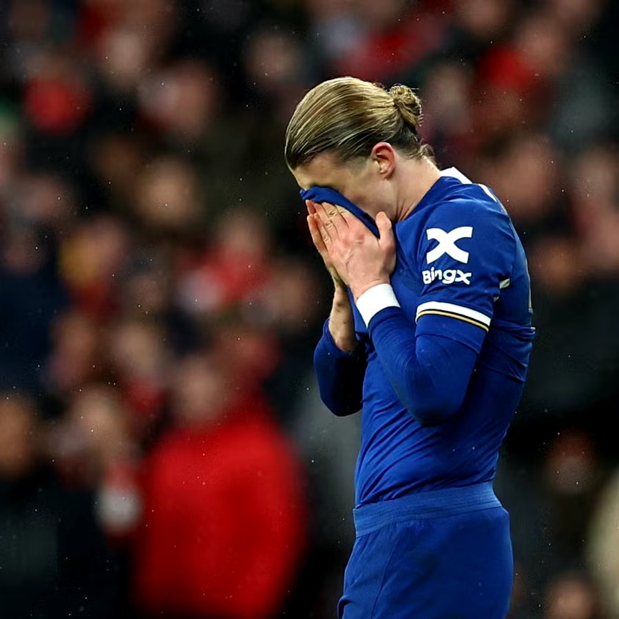 Daily Hotspur tweet media