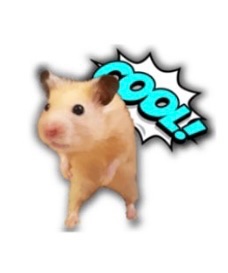 에반9리온 tweet media